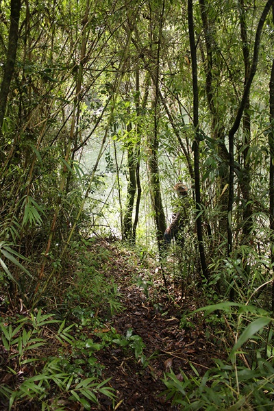 Fotografía 2 de Los lingues Lodge en Puerto Octay, Los Lagos