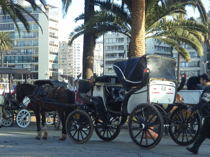 Fotografía 6 de Transfers, City Tours, Viajes a su medida, Turismo de Cruceros. en Viña Del Mar, Valparaiso