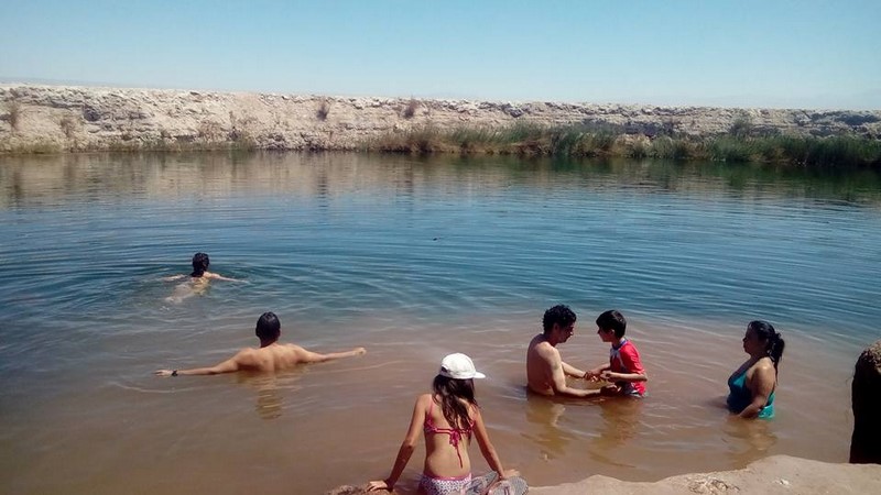 Fotografía 12 de Rutas Ecoturisticas en el Norte de Chile en Antofagasta, Antofagasta