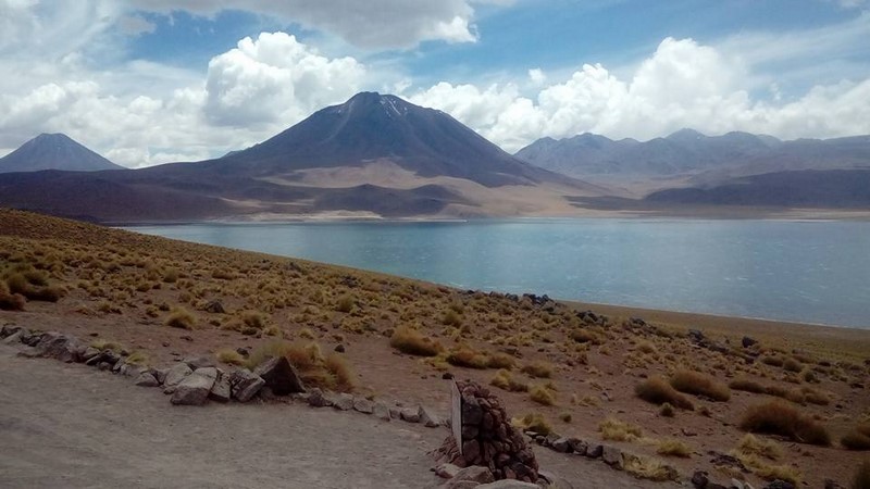 Fotografía 14 de Rutas Ecoturisticas en el Norte de Chile en Antofagasta, Antofagasta