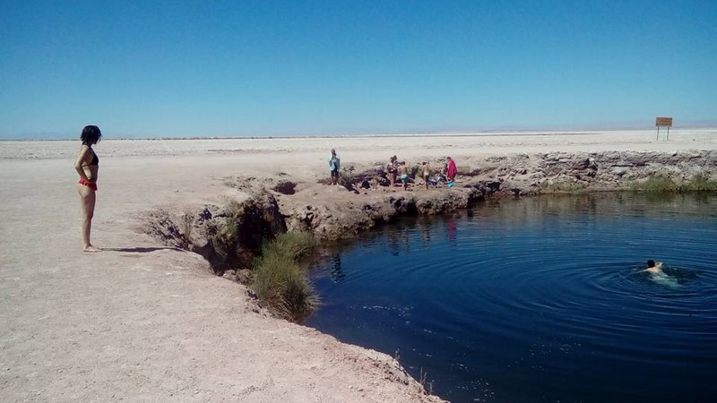 Fotografía 9 de Rutas Ecoturisticas en el Norte de Chile en Antofagasta, Antofagasta
