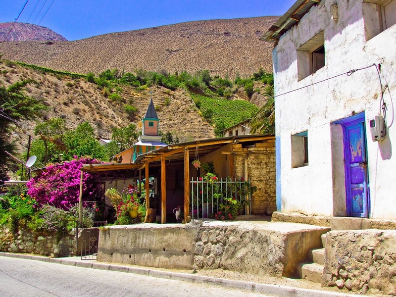 Fotografía 10 de Restaurante Paraíso El Elqui en Vicuña, Coquimbo