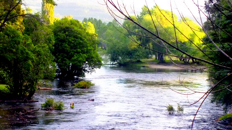 Fotografía 2 de Camping Los Canelos Pucón en Pucon, Araucania