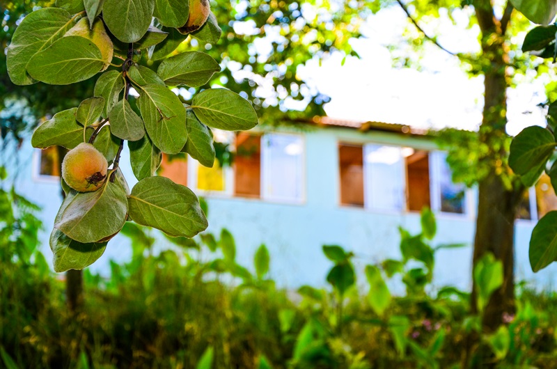Fotografía 10 de Centro Turístico Paraíso en Pinto, Bio Bio