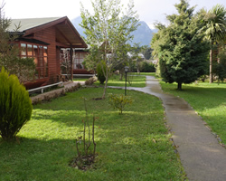 Fotografía 5 de Arriendo de Cabañas en Pucon en Pucon, Araucania