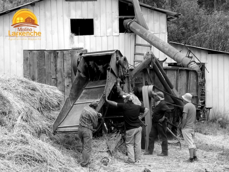 Fotografía 3 de Museo Molino Lafkenche en Saavedra, Araucania