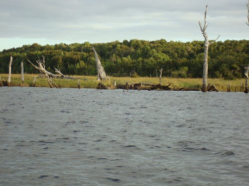 Fotografía 3 de Cabañas Chepu en Ancud, Los Lagos