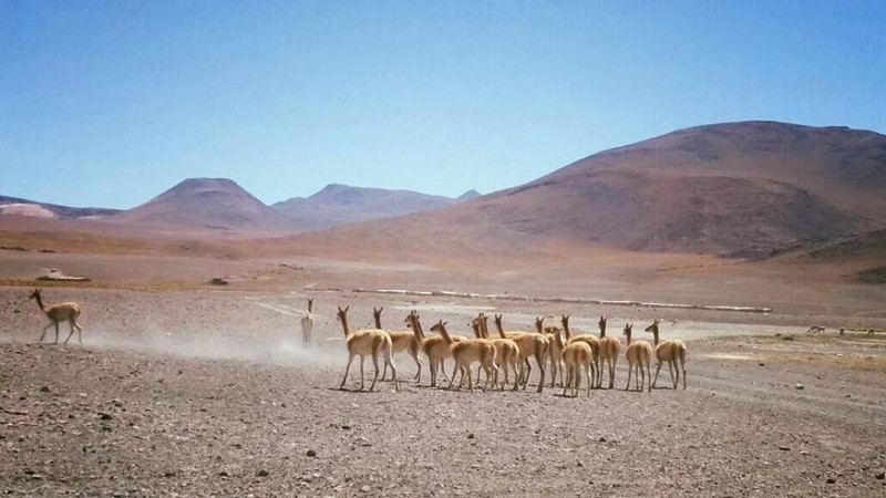 Fotografía 14 de San Pedro de Atacama en San Pedro De Atacama, Antofagasta