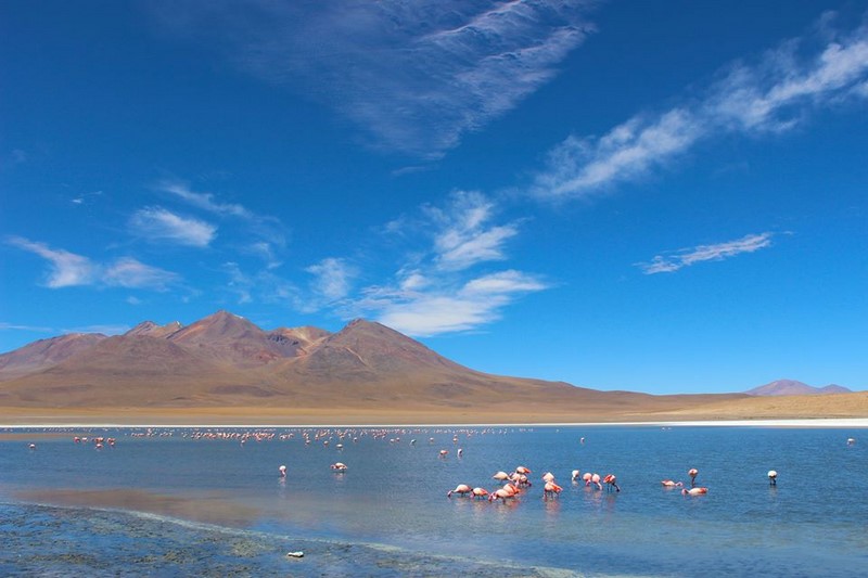 Fotografía 4 de San Pedro de Atacama en San Pedro De Atacama, Antofagasta