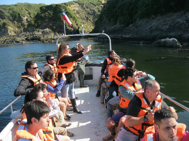 Fotografía 7 de Excursiones Pinguineras Chiloí en Ancud, Los Lagos