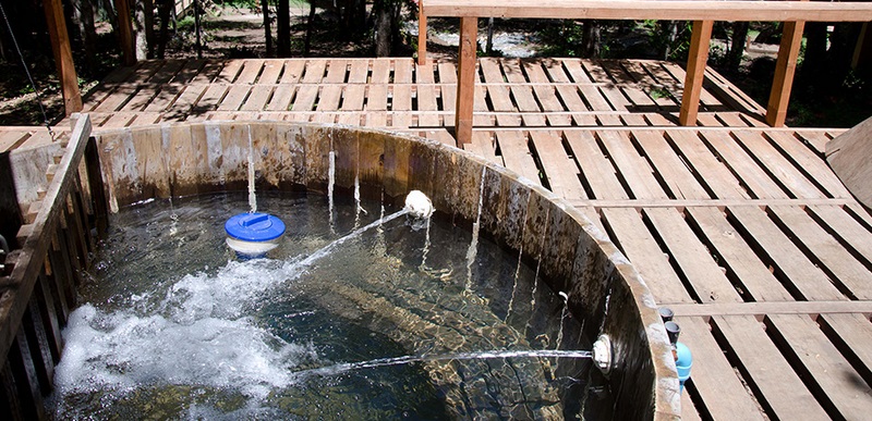 Fotografía 6 de Cabañas Pura Natura en termas de Chillan en Pinto, Bio Bio