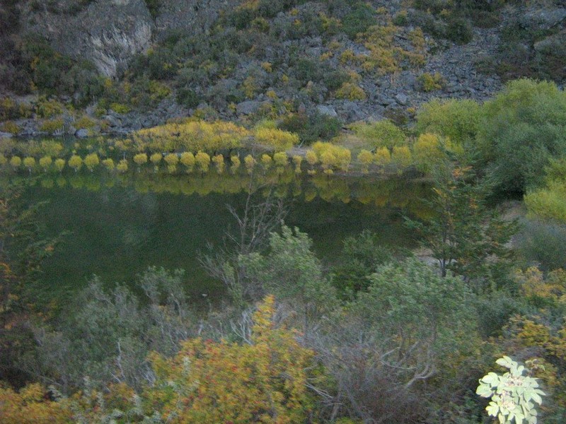 Fotografía 8 de Cabañas en Cochrane en Cochrane, Aysen