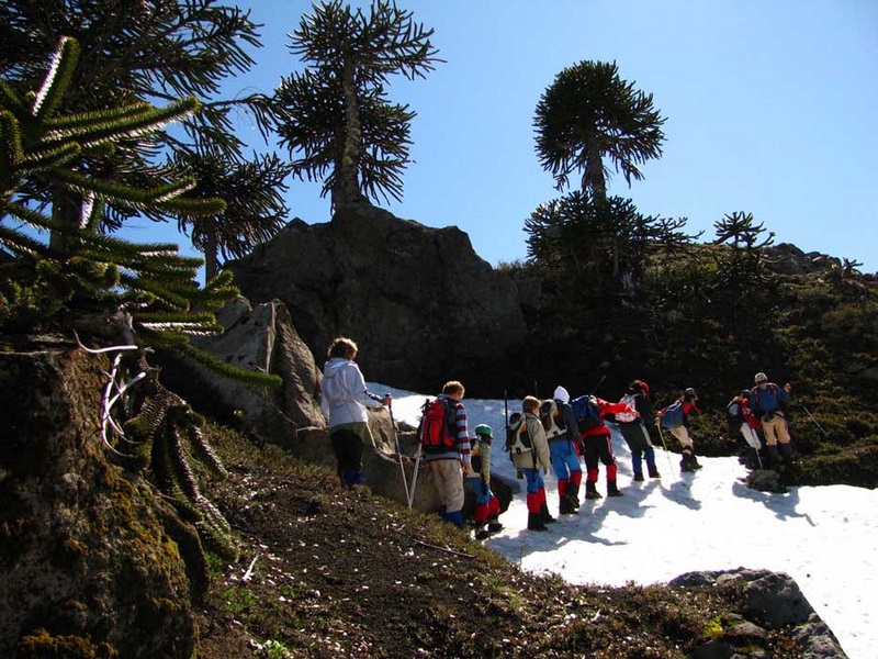 Fotografía 10 de Experienciaúnica de Montaña en la Araucanía en Melipeuco, Araucania