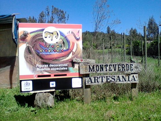 Fotografía 2 de Artesania en crin exclusividades Milsa en Colbun, Maule