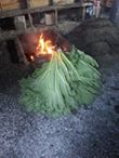 Fotografía 5 de Curanto al Hoyo. 6000 años de historia en Ancud, Los Lagos
