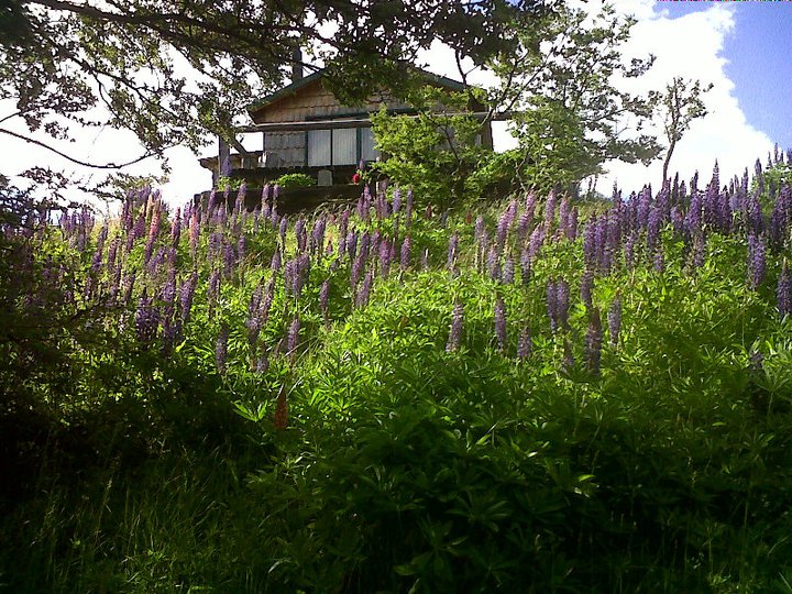 Fotografía 5 de Cabañas en Cochrane, Aysen en Cochrane, Aysen