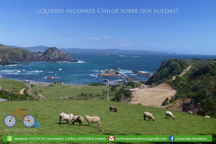 Fotografía 7 de Ciclorutas Insulares en Ancud, Los Lagos
