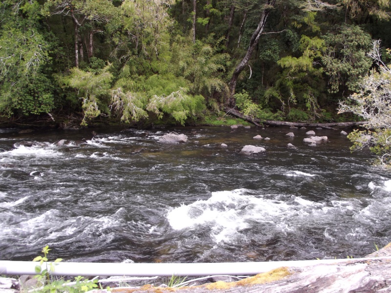 Fotografía 15 de Termas Liucura en Pucon, Araucania