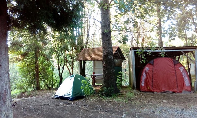 Fotografía 8 de Grato ambiente y Familiar en Camping El Crucero Chiloe en Castro, Los Lagos