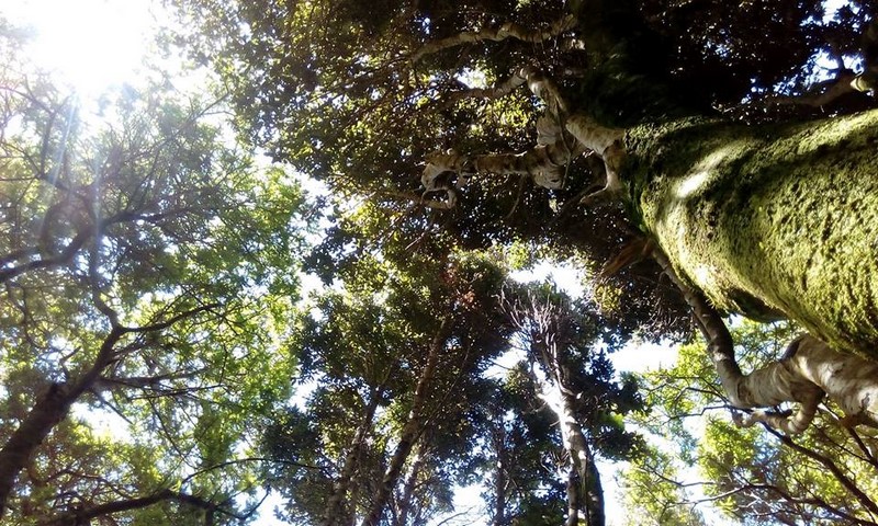 Fotografía 9 de Grato ambiente y Familiar en Camping El Crucero Chiloe en Castro, Los Lagos