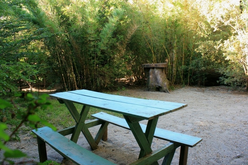 Fotografía 10 de Camping Olga Parque Nacional Huerquehue en Pucon, Araucania