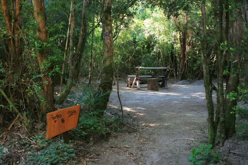 Fotografía 11 de Camping Olga Parque Nacional Huerquehue en Pucon, Araucania