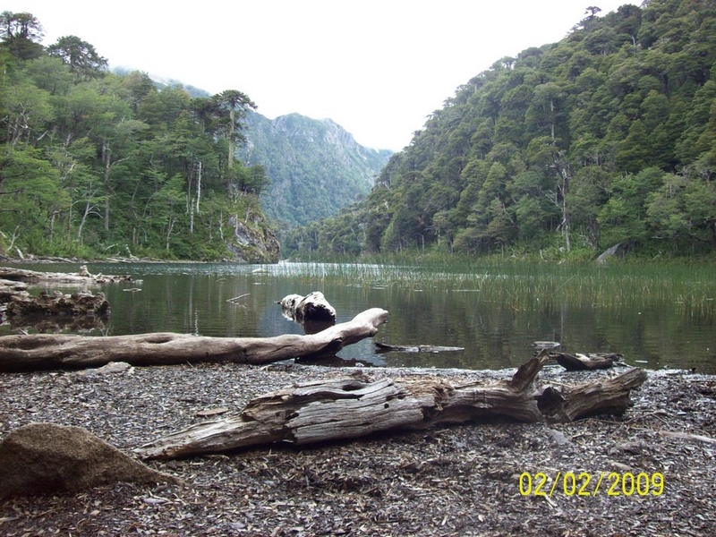Fotografía 15 de Camping Olga Parque Nacional Huerquehue en Pucon, Araucania