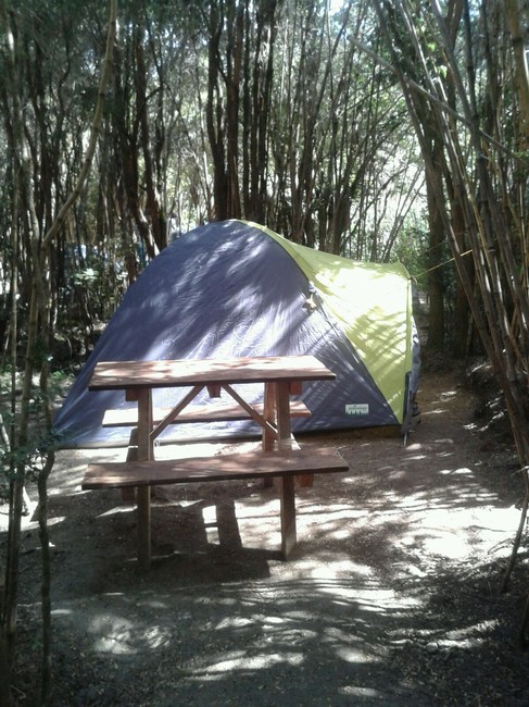 Fotografía 3 de Camping Olga Parque Nacional Huerquehue en Pucon, Araucania