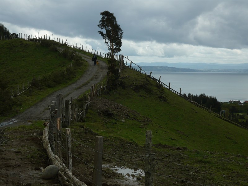 Fotografía 10 de Información para un turismo autogestionado en Ancud, Los Lagos