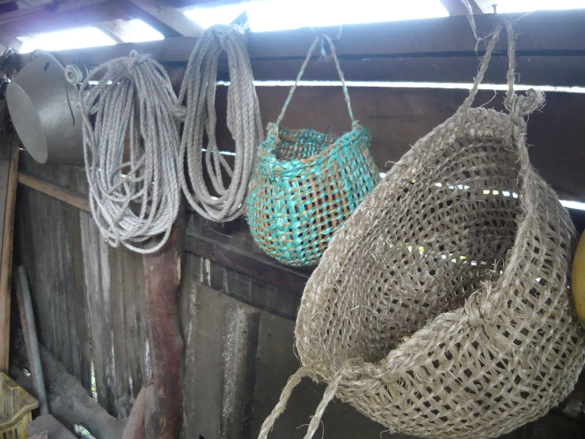 Fotografía 2 de Información para un turismo autogestionado en Ancud, Los Lagos