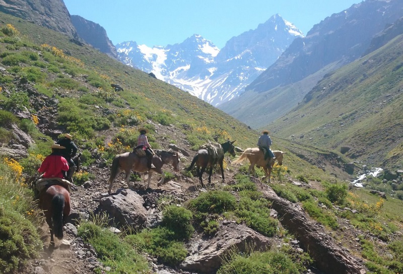 Fotografía 9 de Cabalgatas Valle Río Pangal VI Region en Machali, Ohiggins
