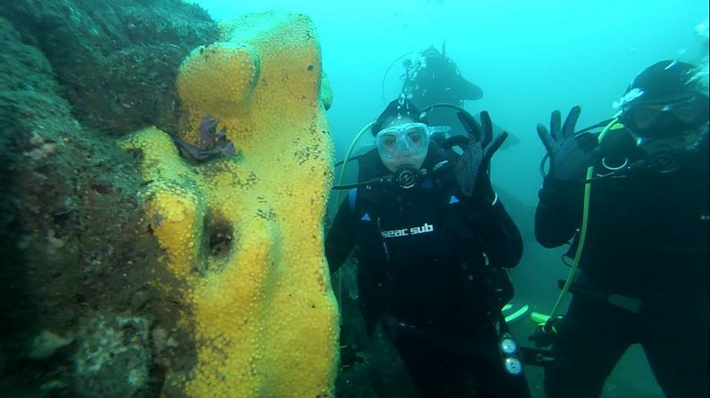 Fotografía 9 de Buceo en Caleta Chome, Hualpen Talcahuano en Concepcion, Bio Bio
