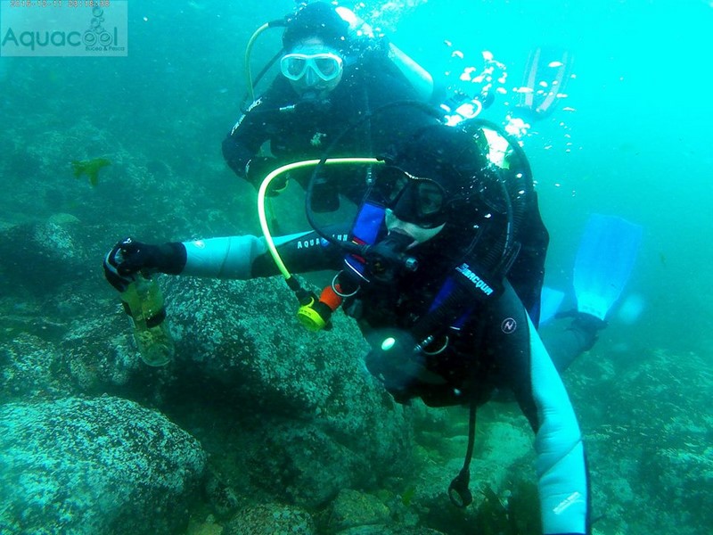 Fotografía 16 de Buceo en Caleta Chome, Hualpen Talcahuano en Concepcion, Bio Bio