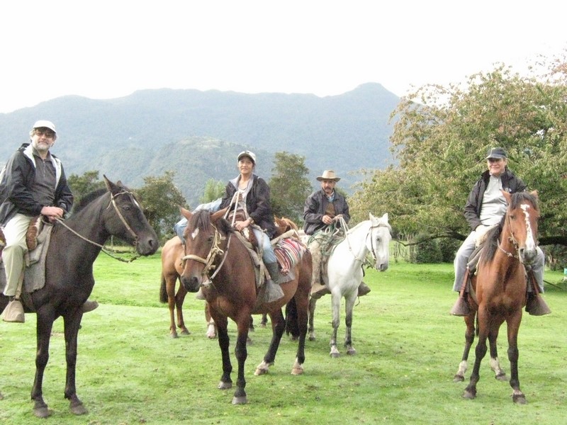 Fotografía 20 de Cabalgatas Cochamo en Cochamo, Los Lagos