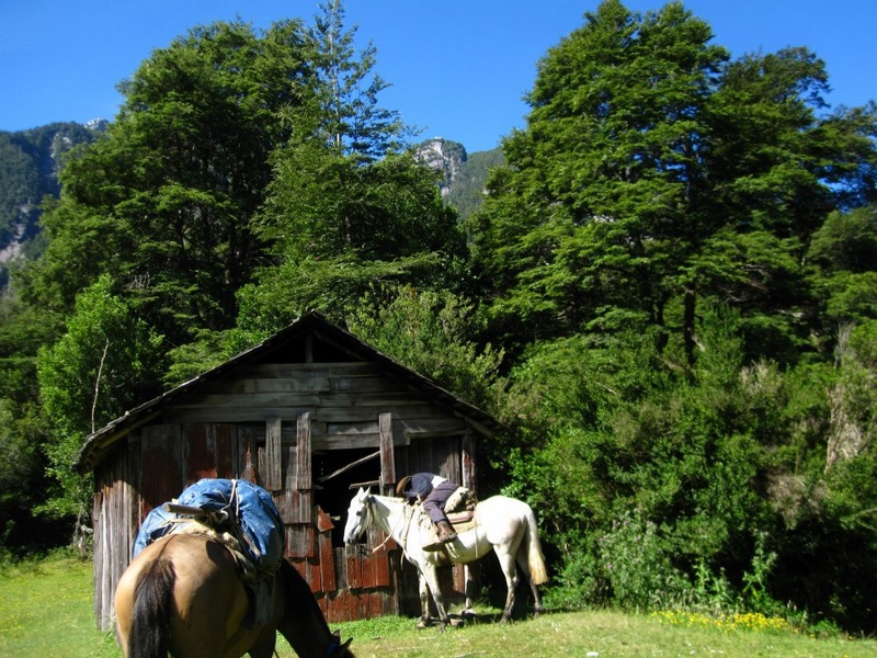 Fotografía 3 de Cabalgatas Cochamo en Cochamo, Los Lagos