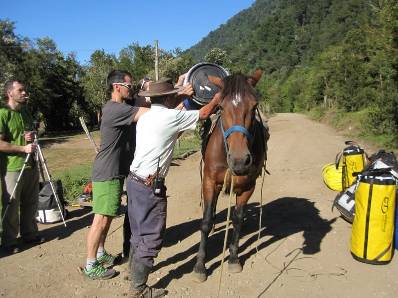 Fotografía 4 de Cabalgatas Cochamo en Cochamo, Los Lagos