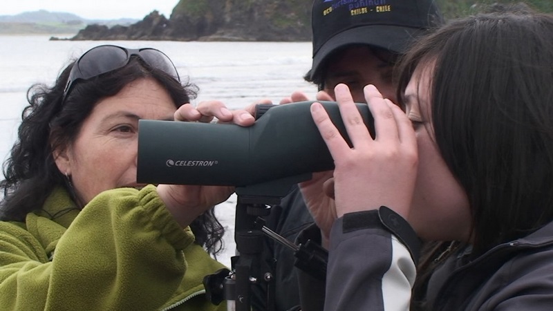 Fotografía 3 de Pinguineras Chiloe en Ancud, Los Lagos