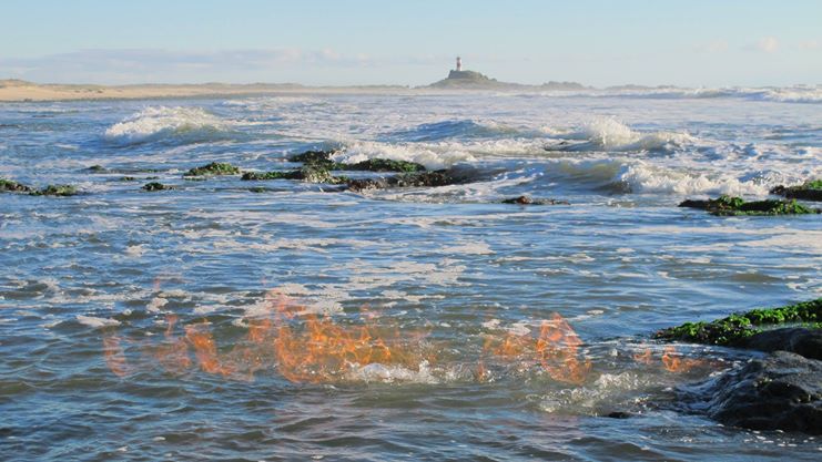 Fotografía 4 de Una isla inolvidable, el paraíso de la Región del Bio-Bio, ISLA MOCHA en Tirua, Bio Bio