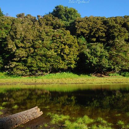 Fotografía 5 de Una isla inolvidable, el paraíso de la Región del Bio-Bio, ISLA MOCHA en Tirua, Bio Bio
