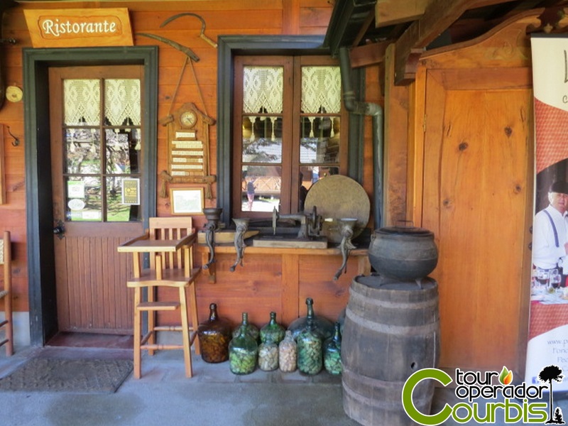 Fotografía 2 de Programas turisticos en el sur de Chile en Temuco, Araucania