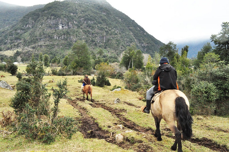 Fotografía 6 de Cabalgatas Patagonas en Cisnes, Aysen