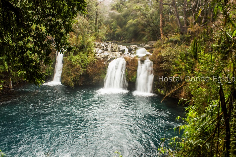 Fotografía 8 de Hostal Donde Egidio, Pucón - Chile en Pucon, Araucania