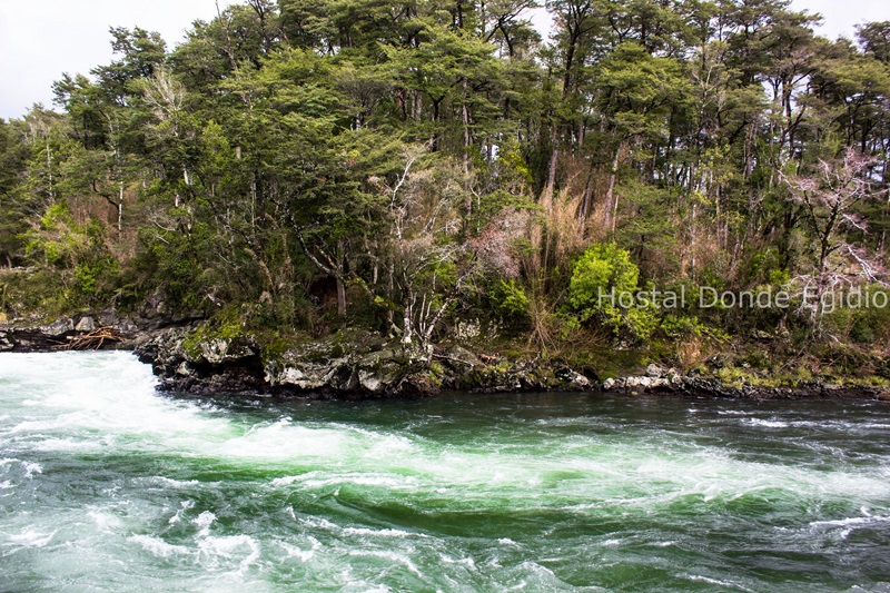 Fotografía 6 de Hostal Donde Egidio, Pucón - Chile en Pucon, Araucania