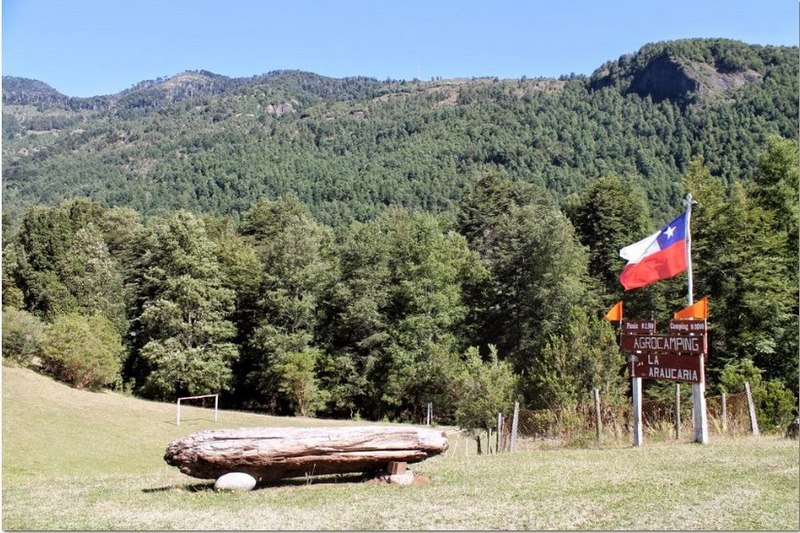 Fotografía 6 de Camping La Araucaria cerca de las termas en Pucon, Araucania