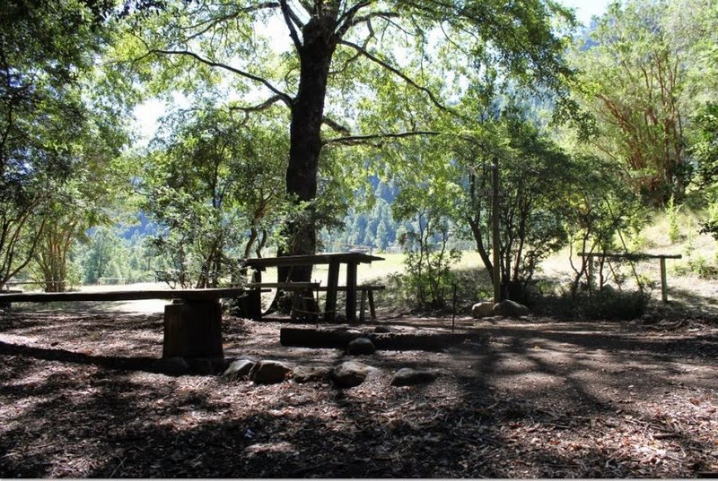 Fotografía 9 de Camping La Araucaria cerca de las termas en Pucon, Araucania