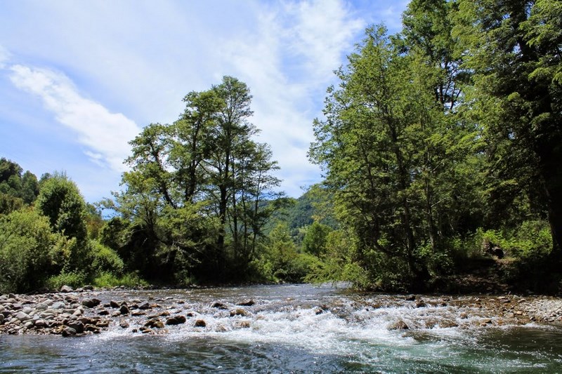 Fotografía 11 de Camping La Araucaria cerca de las termas en Pucon, Araucania