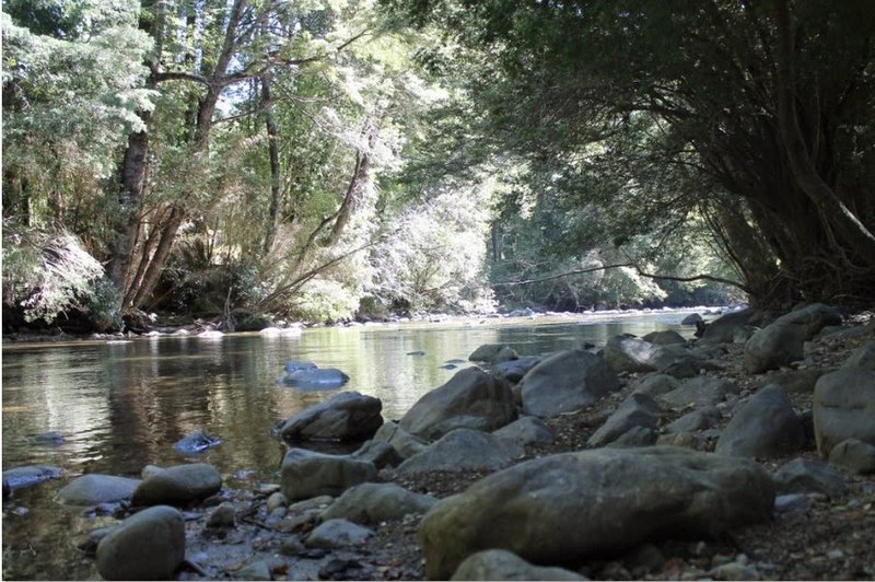 Fotografía 13 de Camping La Araucaria cerca de las termas en Pucon, Araucania