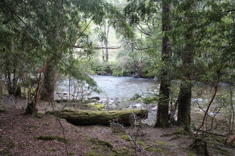 Fotografía 2 de Camping La Araucaria cerca de las termas en Pucon, Araucania