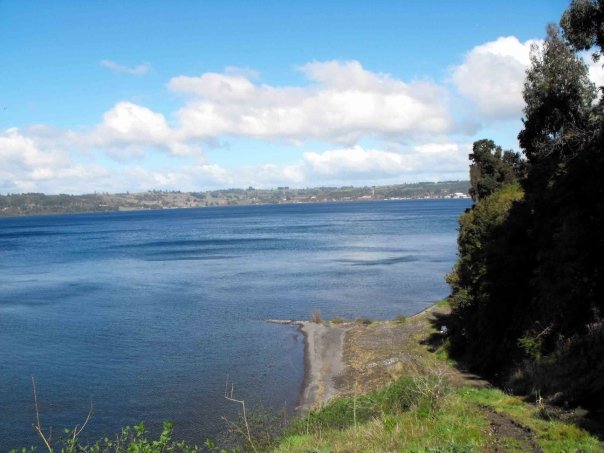 Fotografía 3 de Alojamiento sustentable en Frutillar en Frutillar, Los Lagos