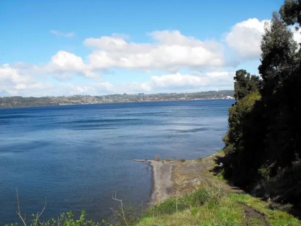 Fotografía 3 de Alojamiento sustentable en Frutillar en Frutillar, Los Lagos